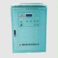 BWT-1B型步進(jìn)微機(jī)調(diào)速器